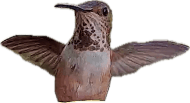 Pasted Graphic.png