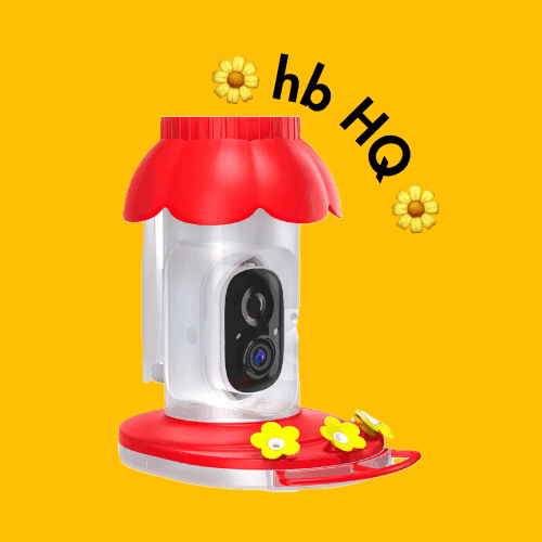 hb_hq_icon_color_bg.png